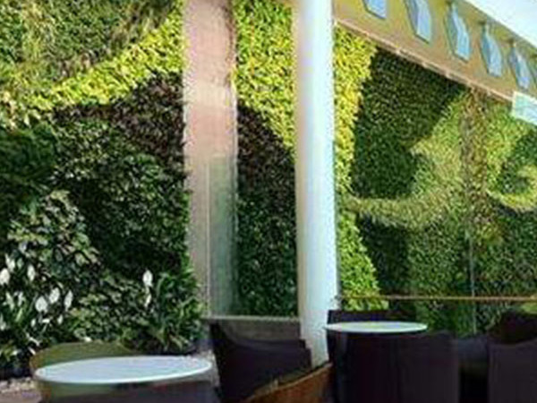 绿植墙 (1)